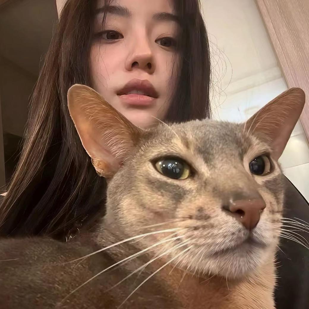不是宁-