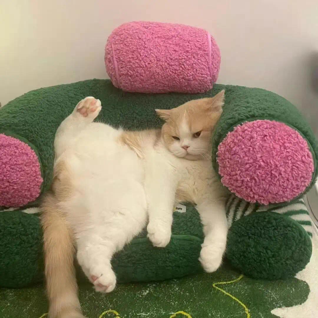 🙈一生有Li 🙈