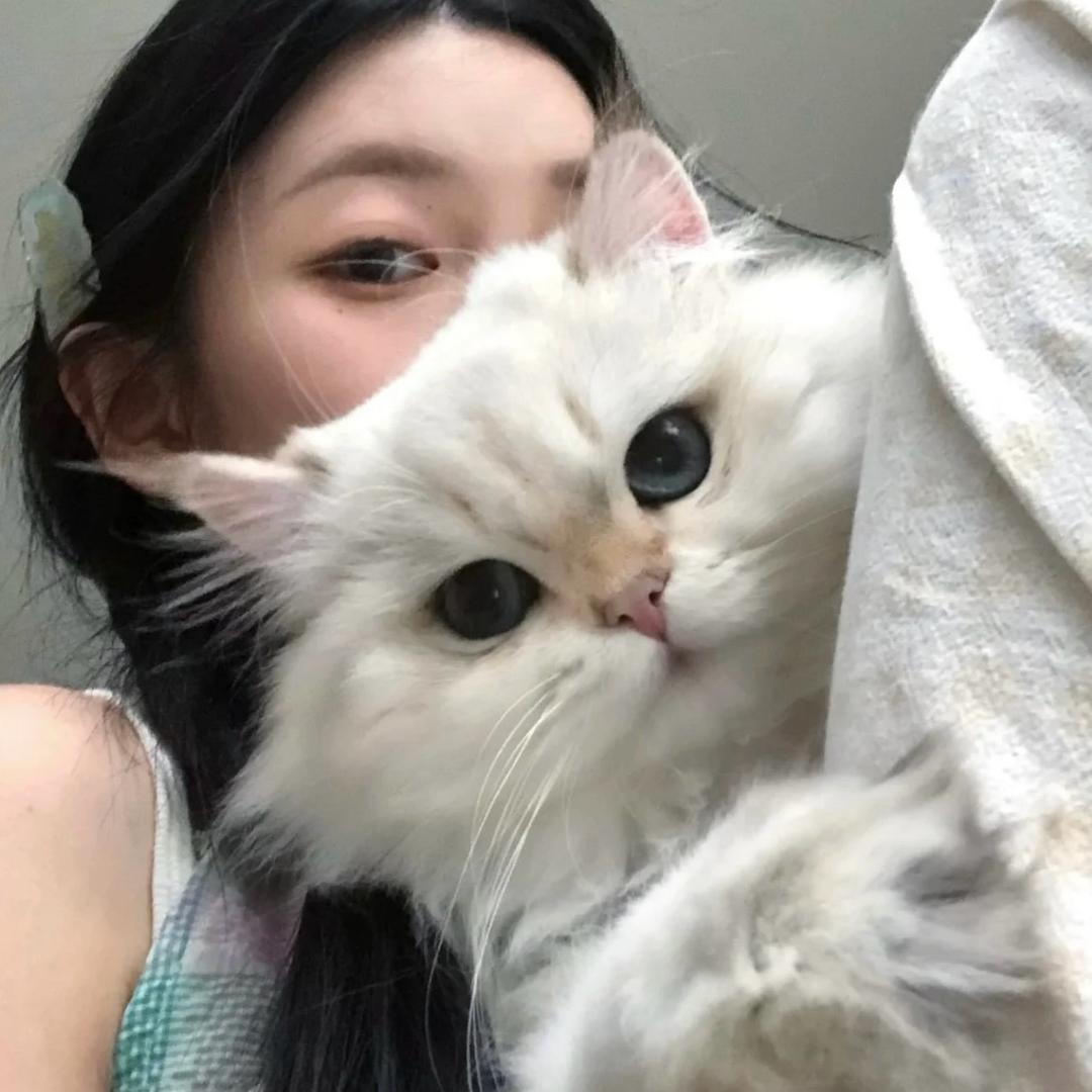 陈让