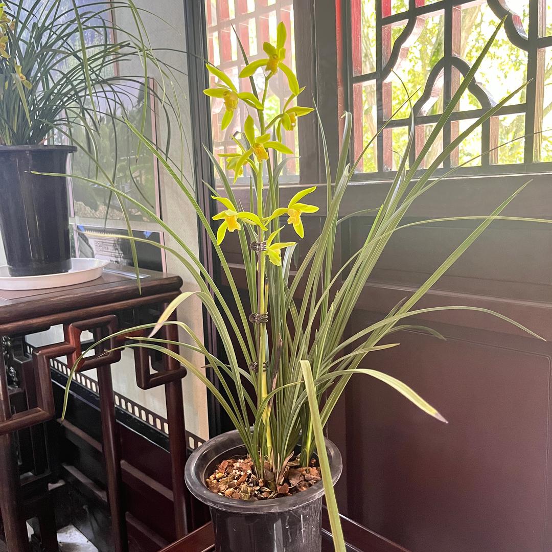 诗和远方美食分享