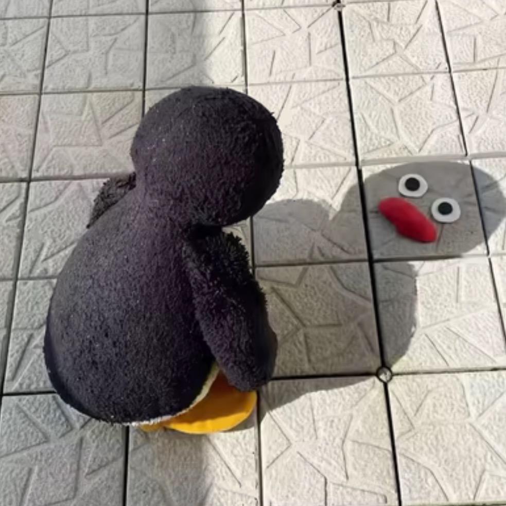 饱艾