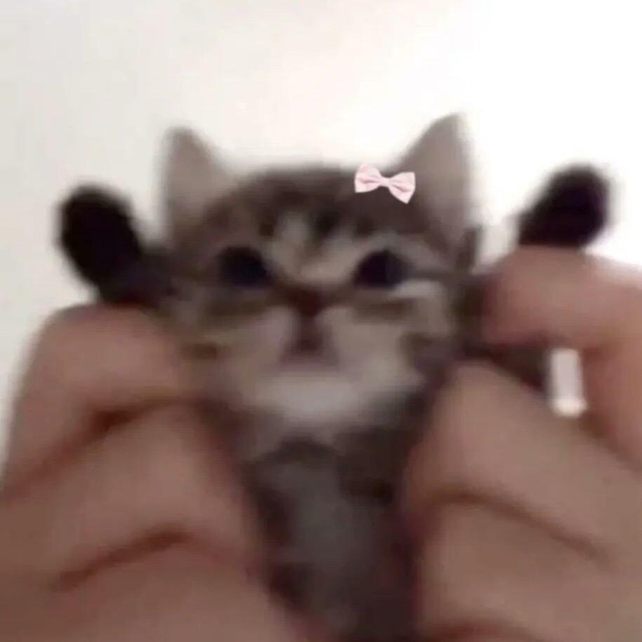 就要睡了。🦋