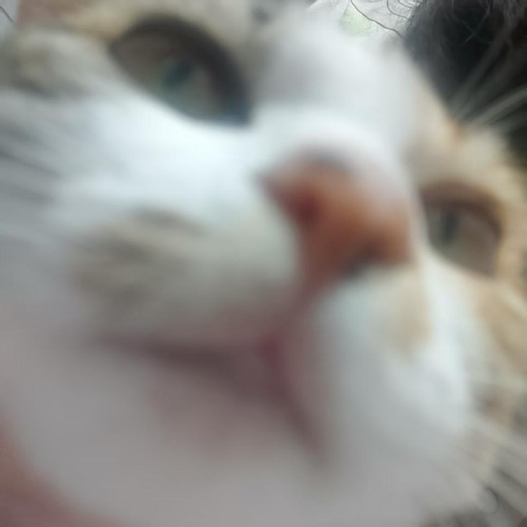 火鸡面杀手.