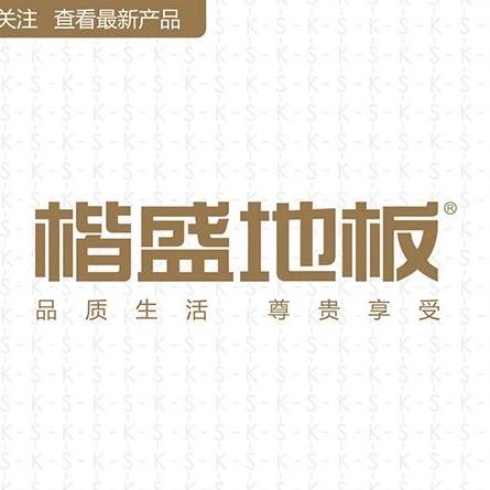 尼克森(楷盛)