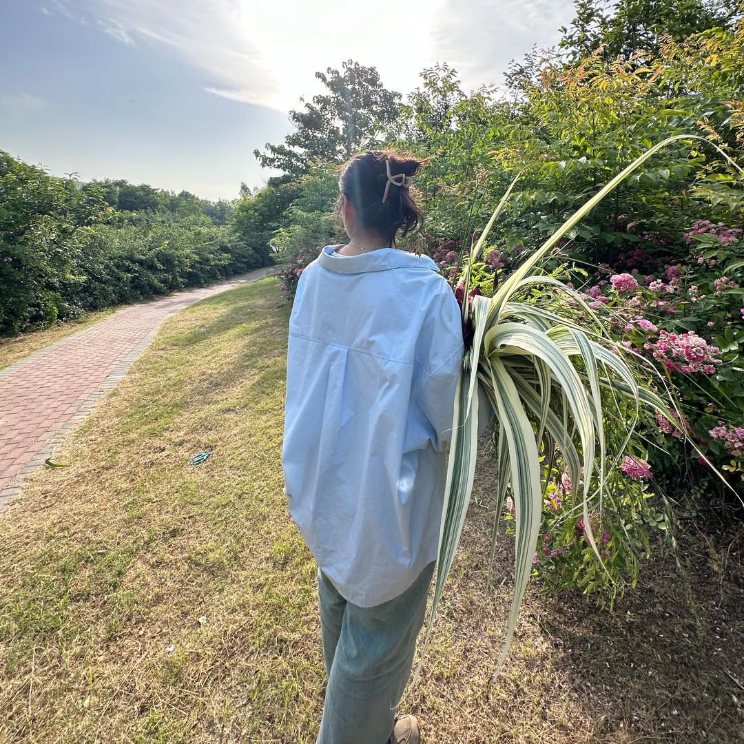 是阿花呀