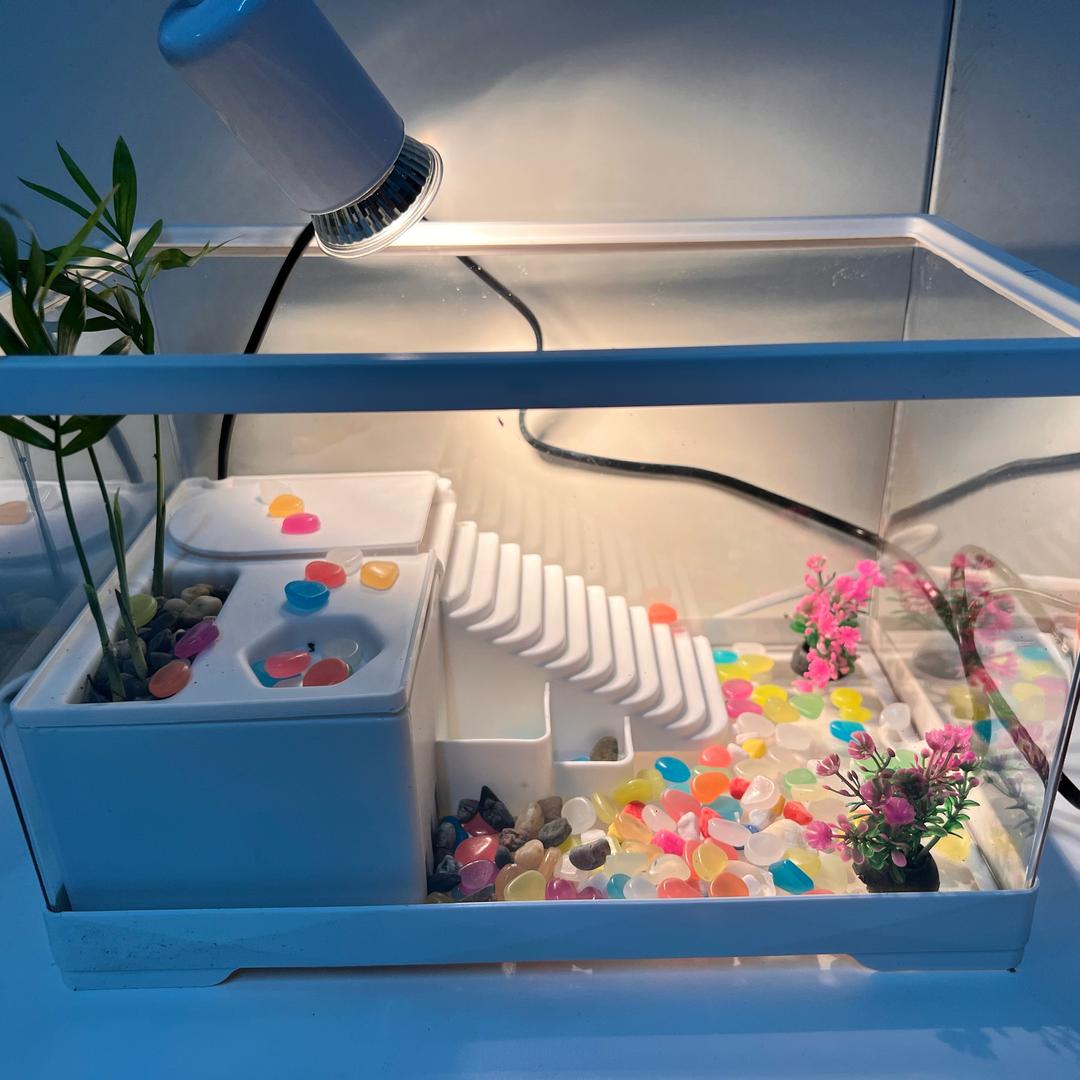 同“龟”“鱼”尽