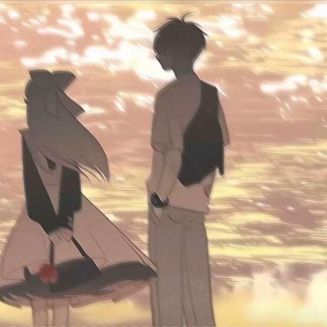 80137087798