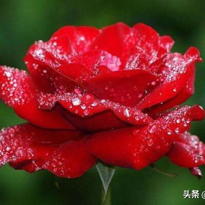 自在随心
