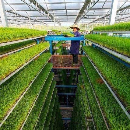 河南瀚海生物技术有限公司漯河分公司