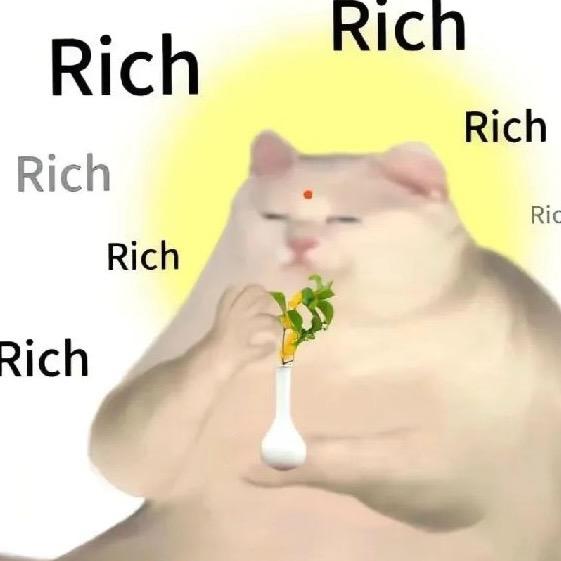 君子猫