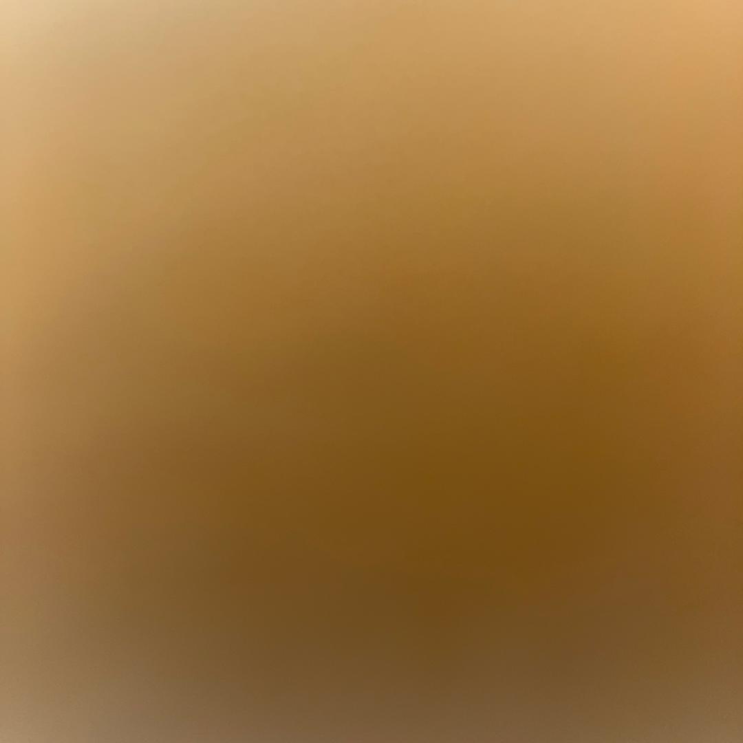 黎先生