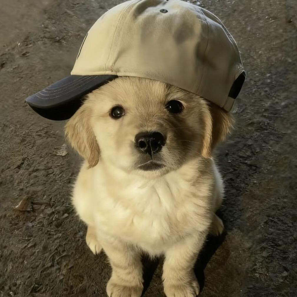 🐾