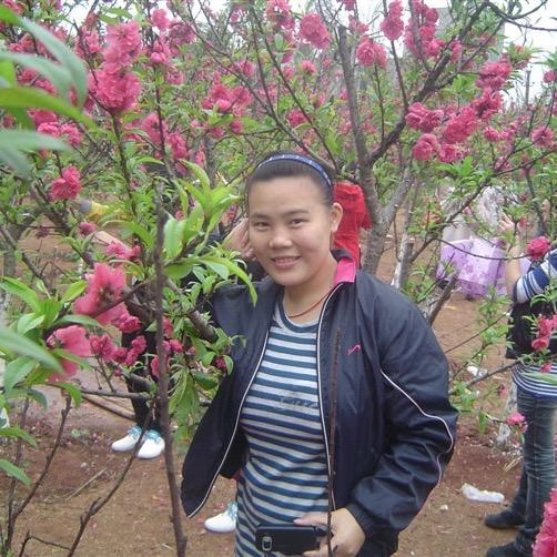 云珈姐姐家八角