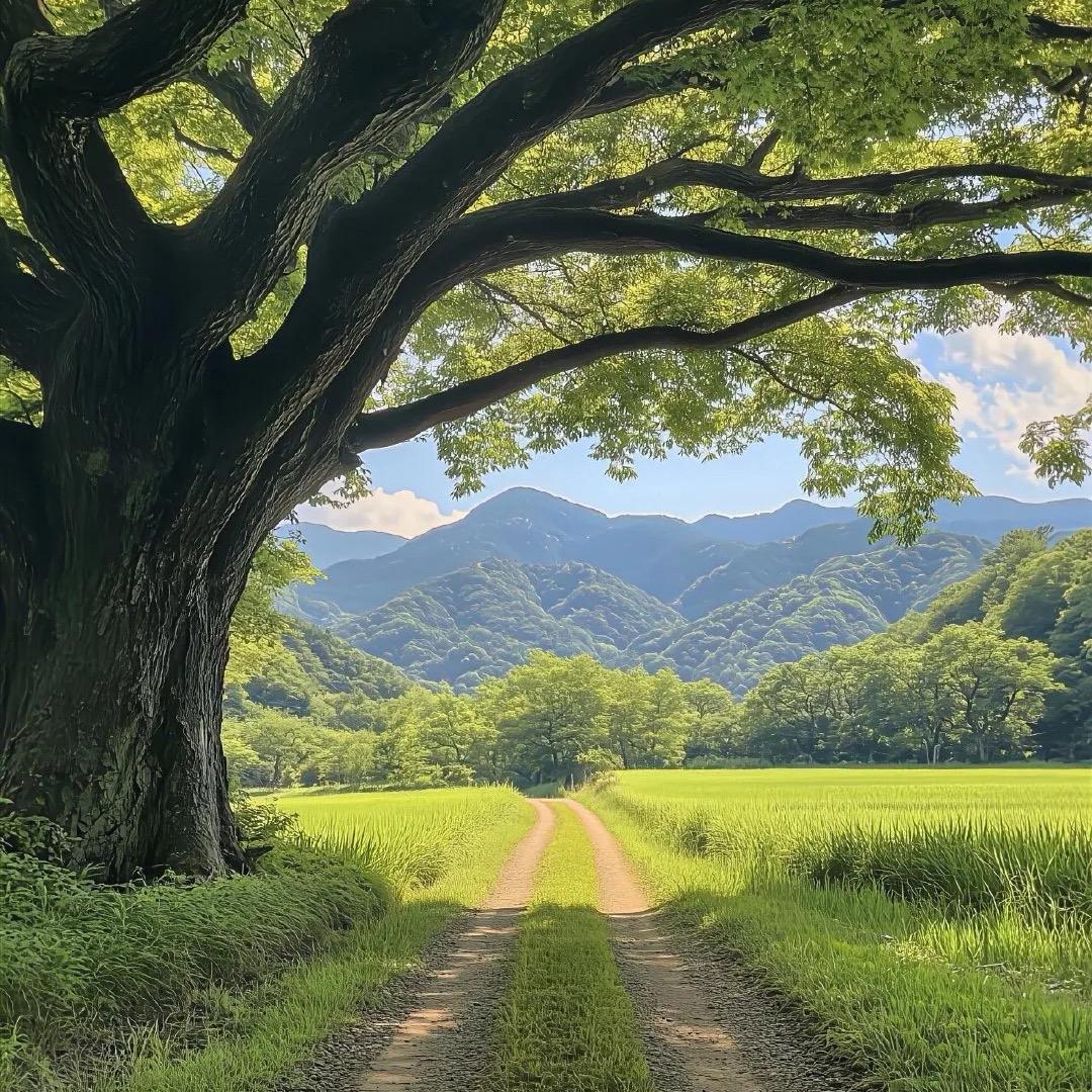 助农推荐官走进山村