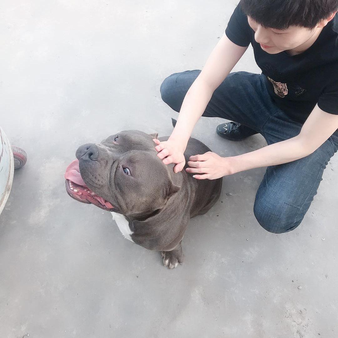 他们叫我小猴子