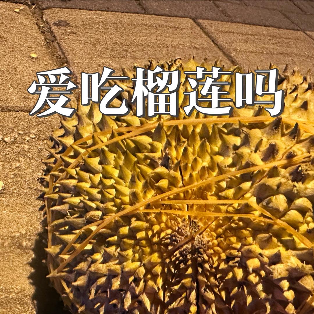 老杨（金枕榴莲同城送货中）
