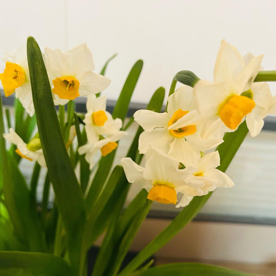 🌻🌻向阳而生🌻🌻