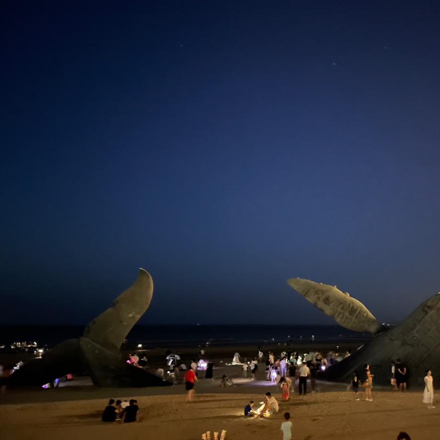 岂无山歌与村笛