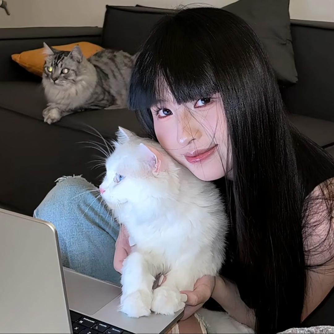 仅你可见