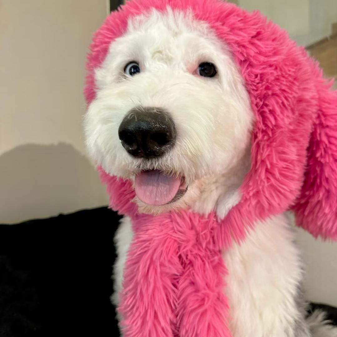 沫叶（美甲美睫）