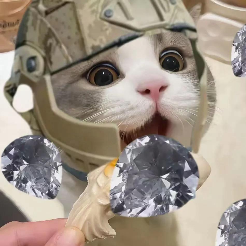 蛋糕盒（三角洲行动）