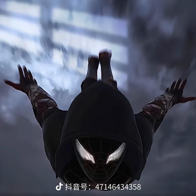小鲨鱼🐋