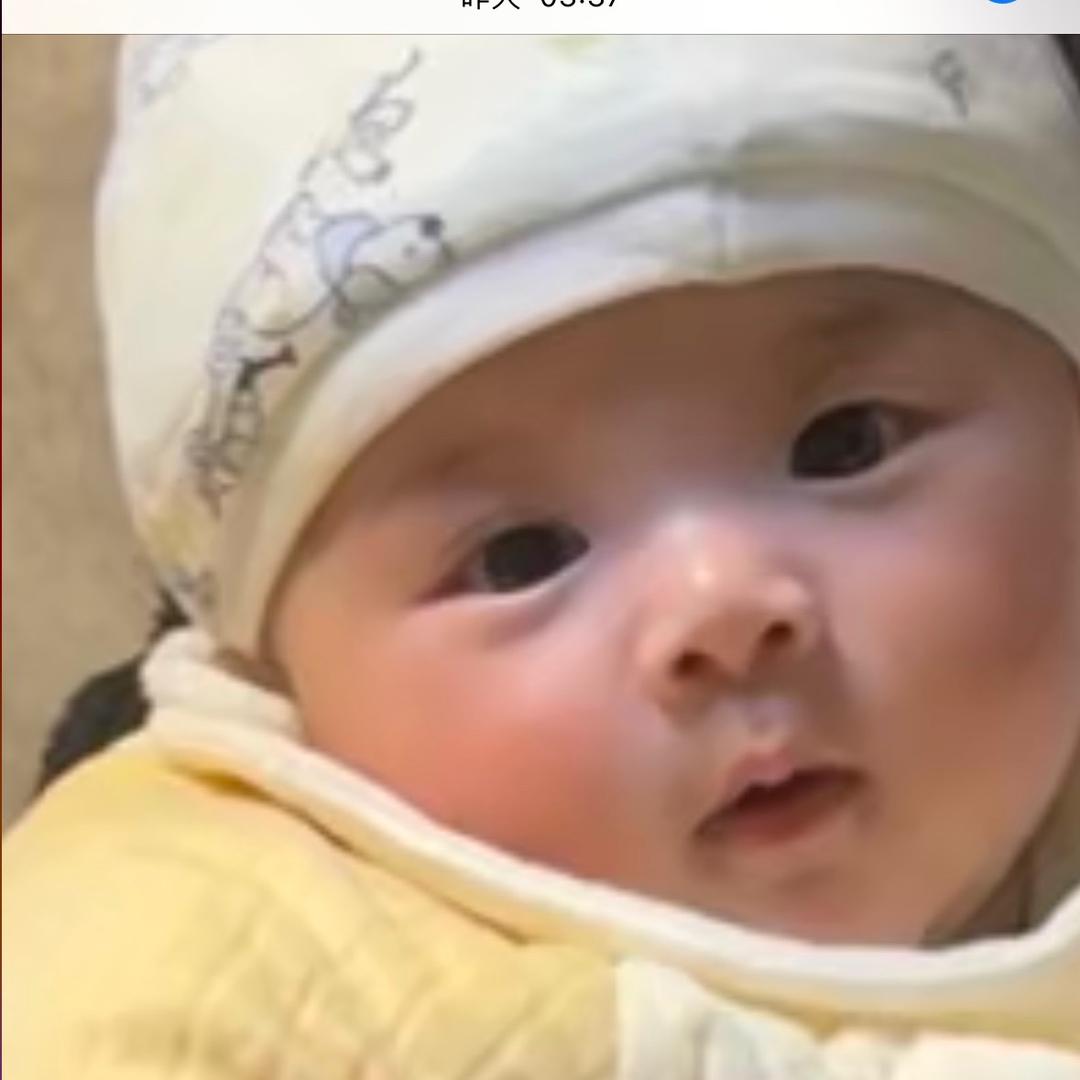御宝