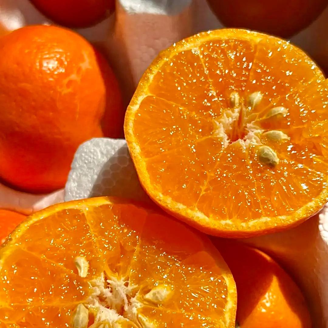 防晒被源头厂家