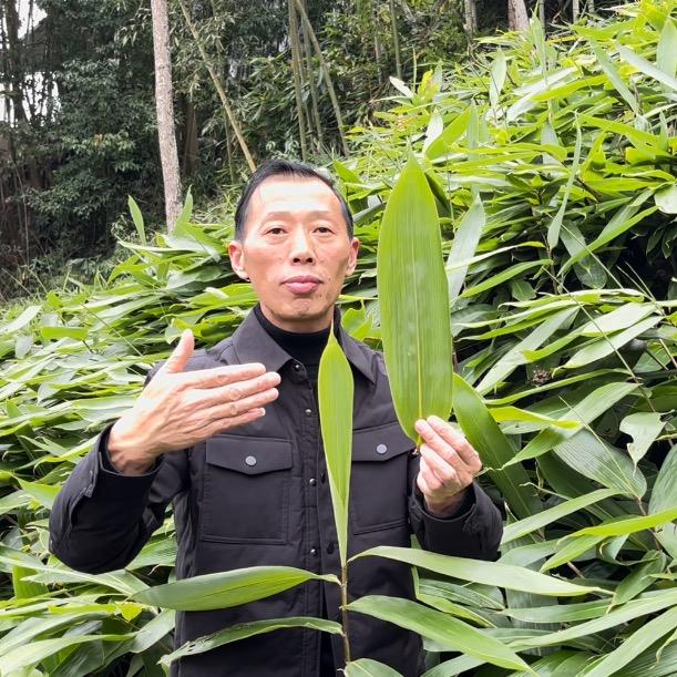 粽叶哥=粽叶