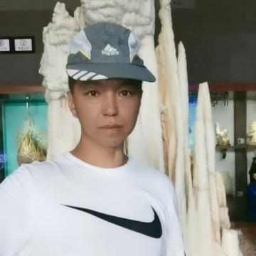辉哥