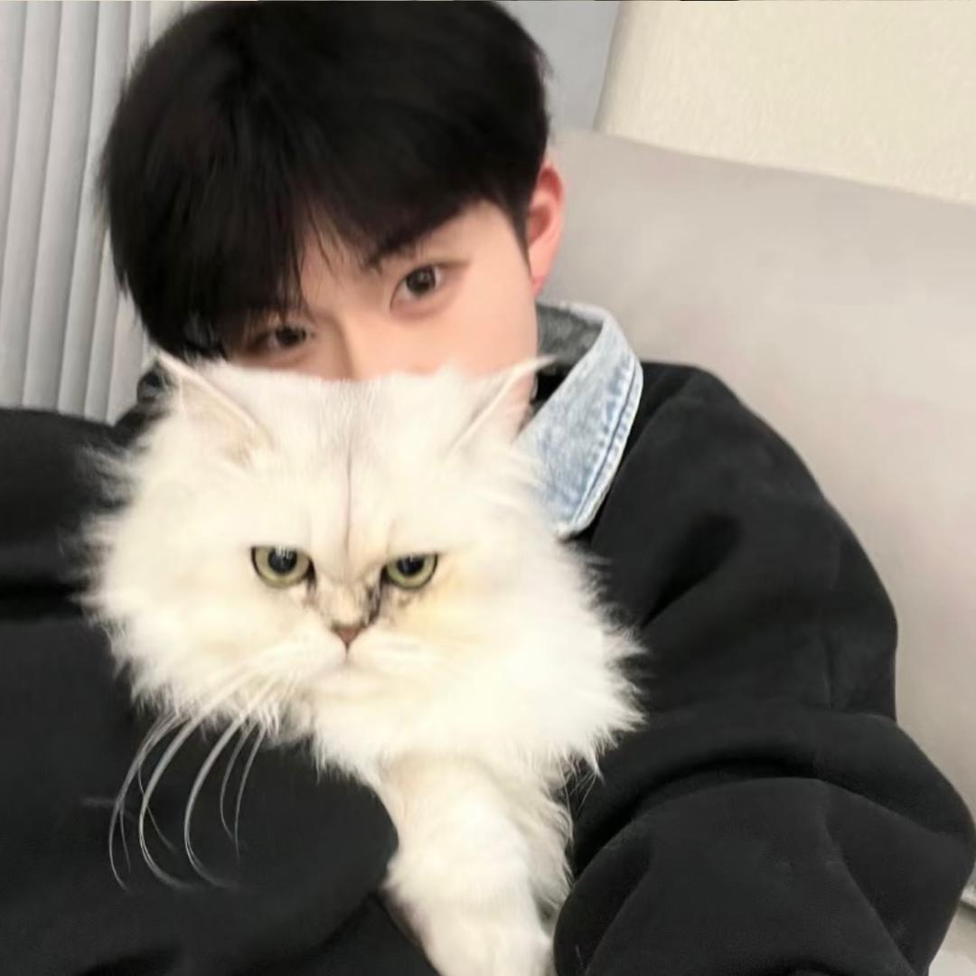 别和奇怪的我说话