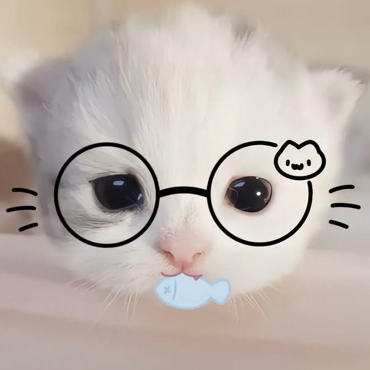 失眠的咩