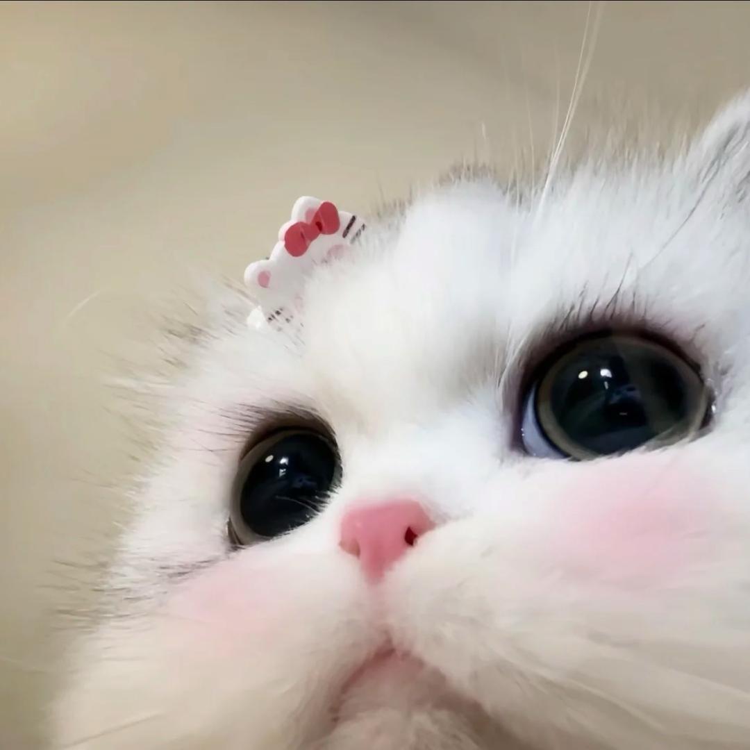 Liu -