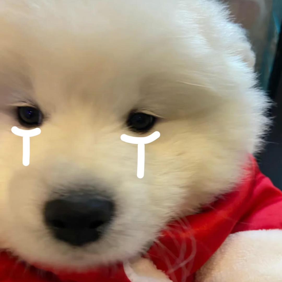 邻佳恩