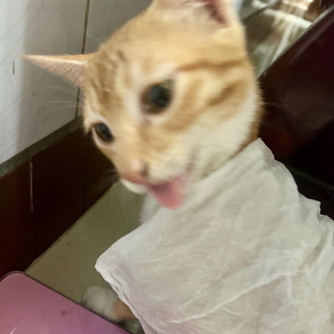 嘀嘀咕咕讲什么