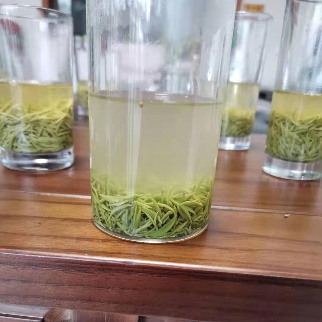 张老汉旱茶毛尖