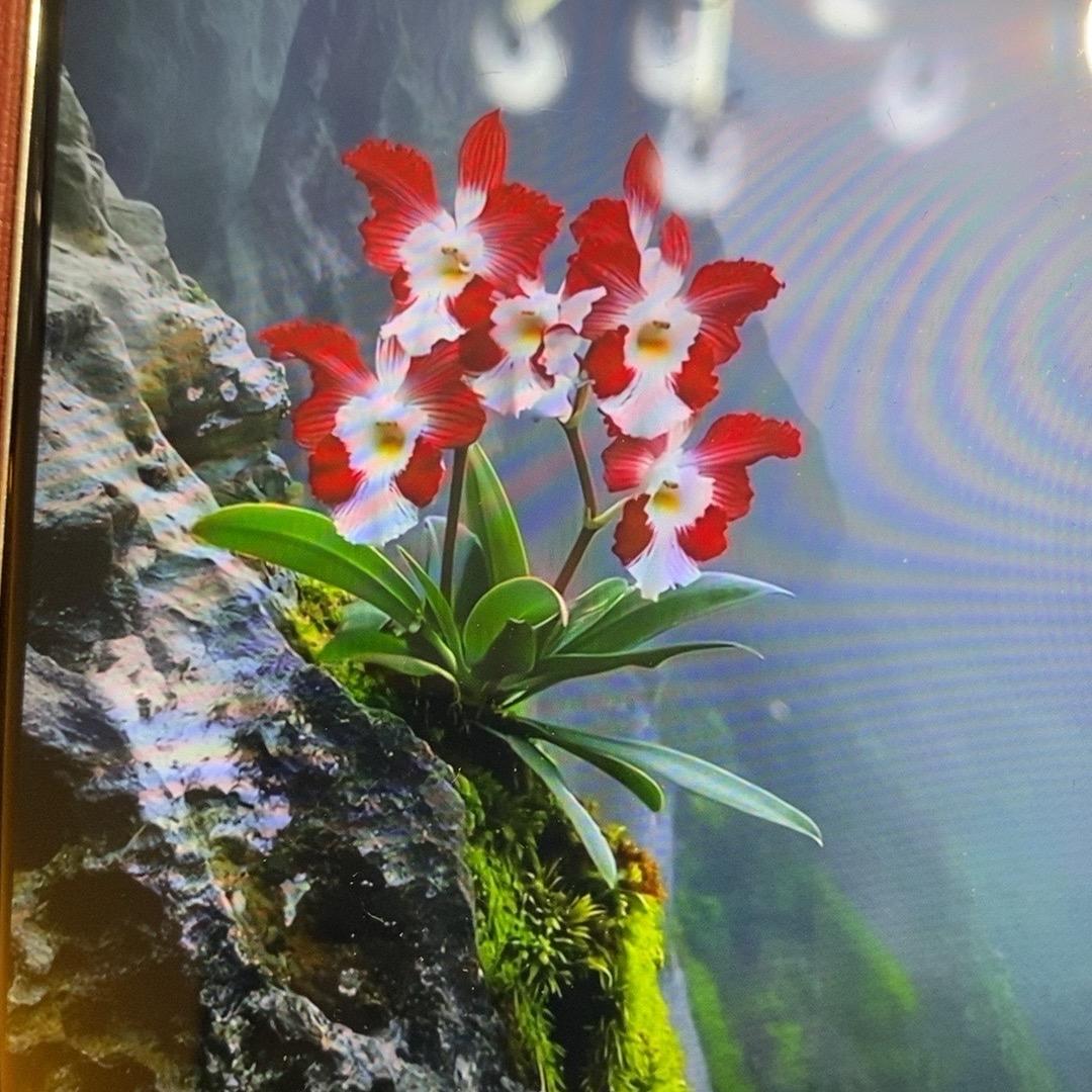 风雨人间