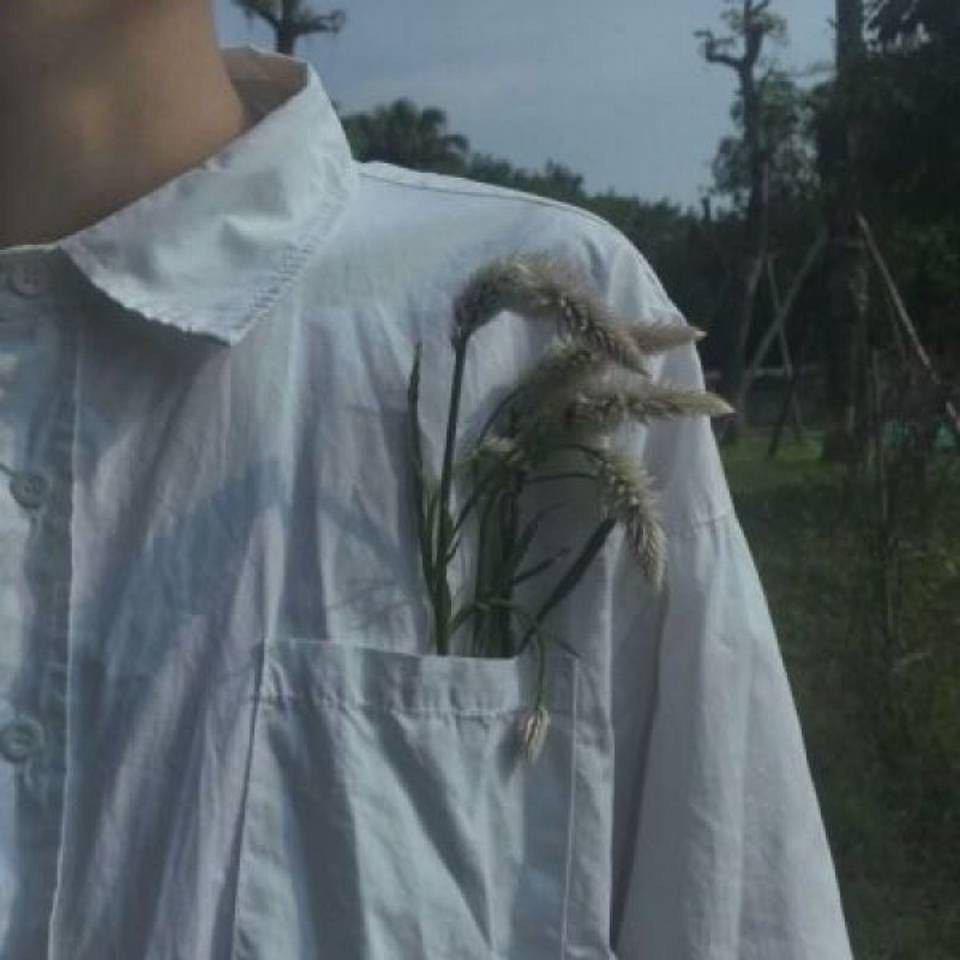 楮墨先生