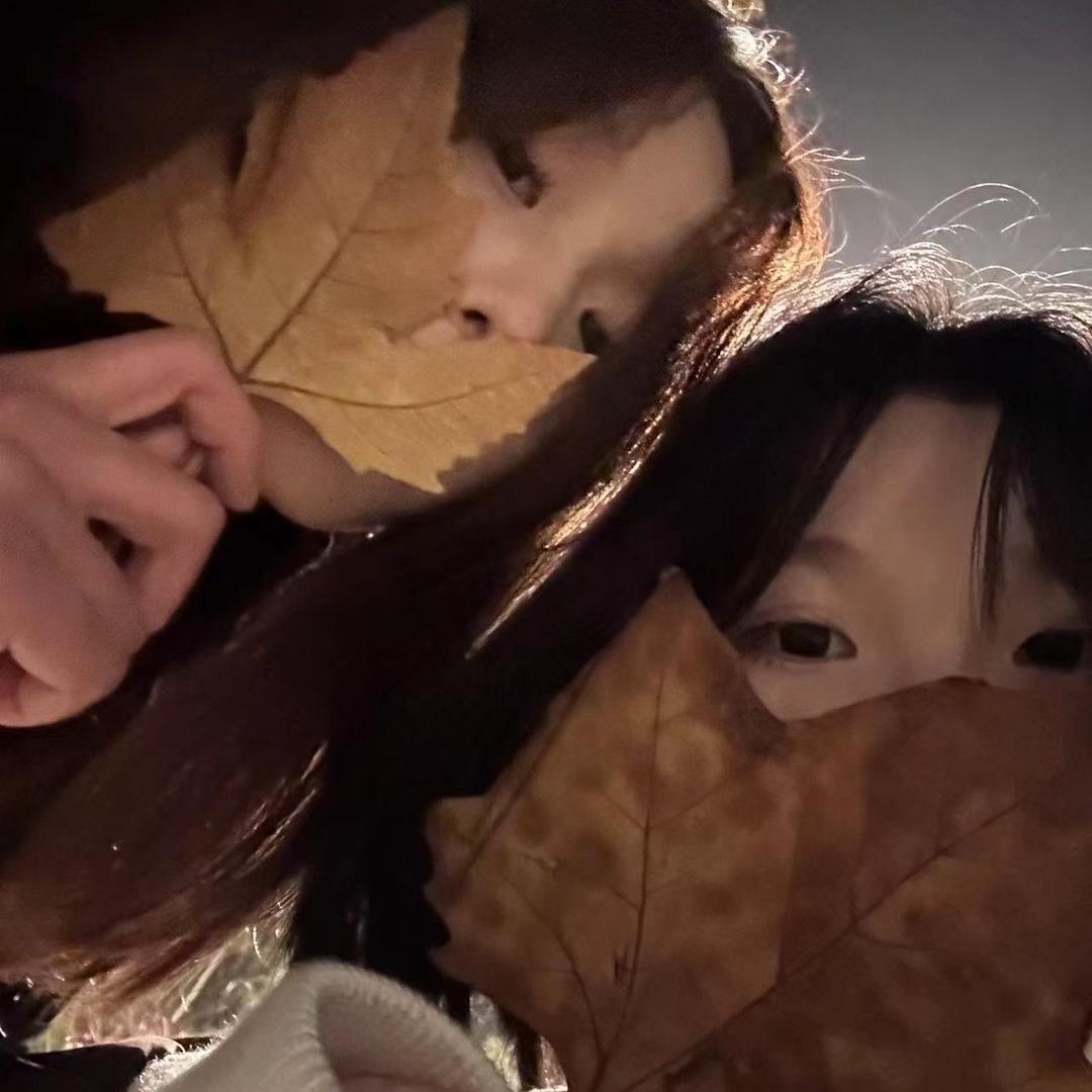 许愿猫( ･᷄ὢ･᷅ )