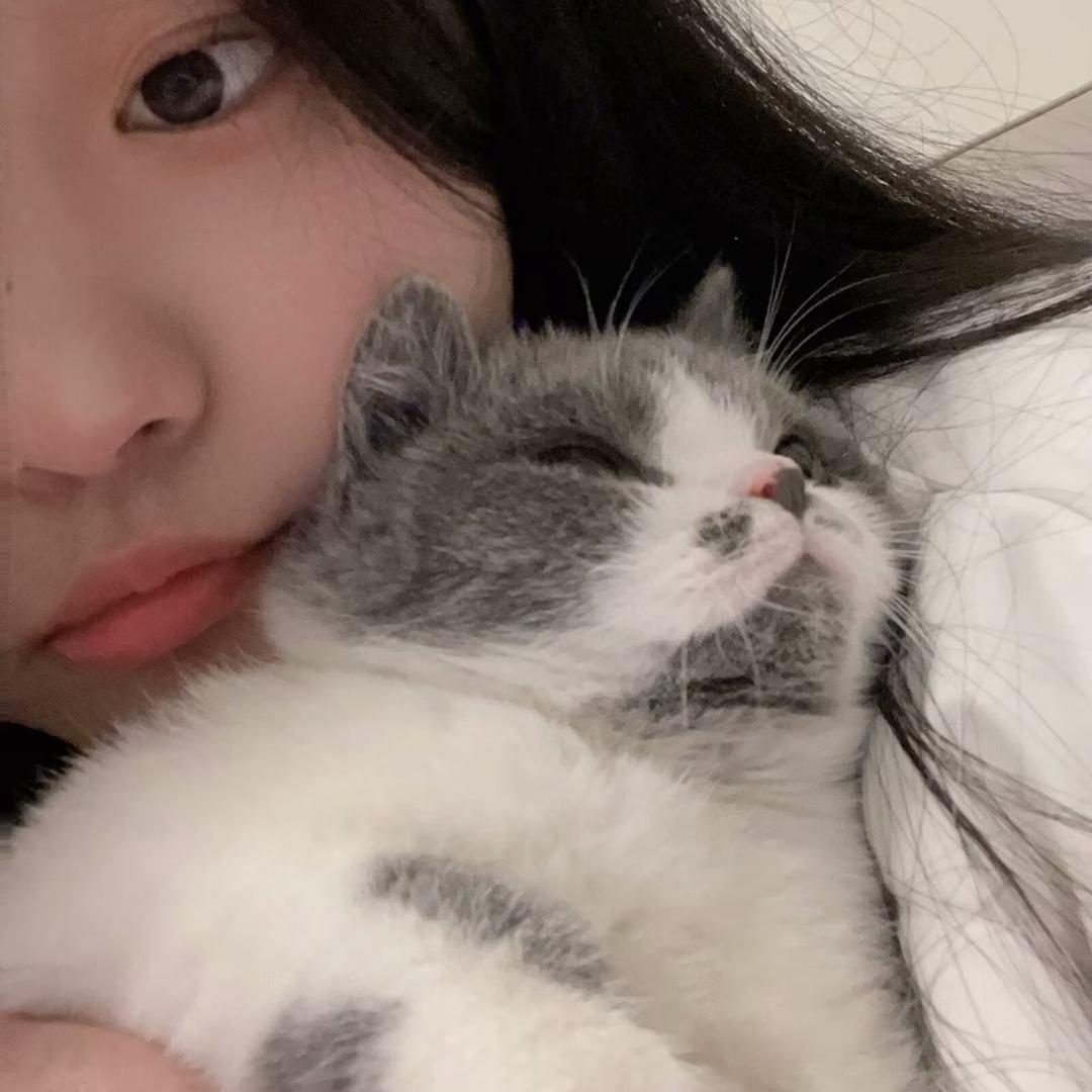 软了个叭