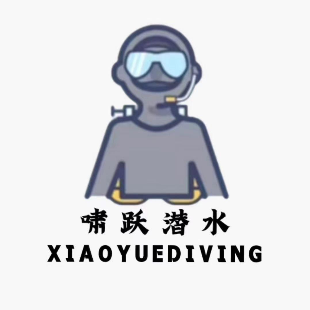 啸跃潜水打捞.紧急救援
