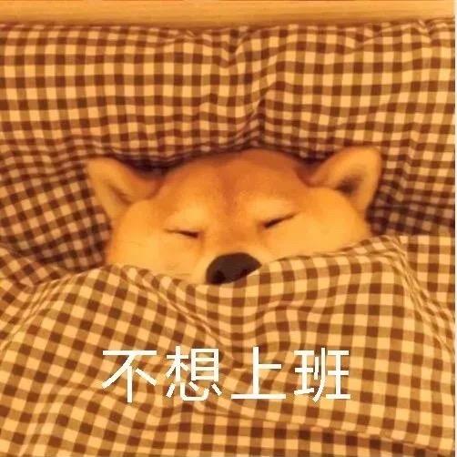 吃饭要紧