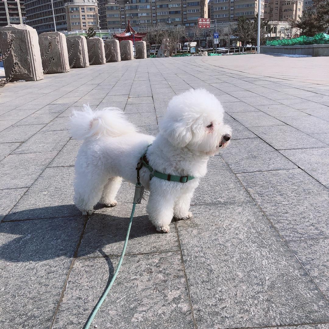 Zhang._