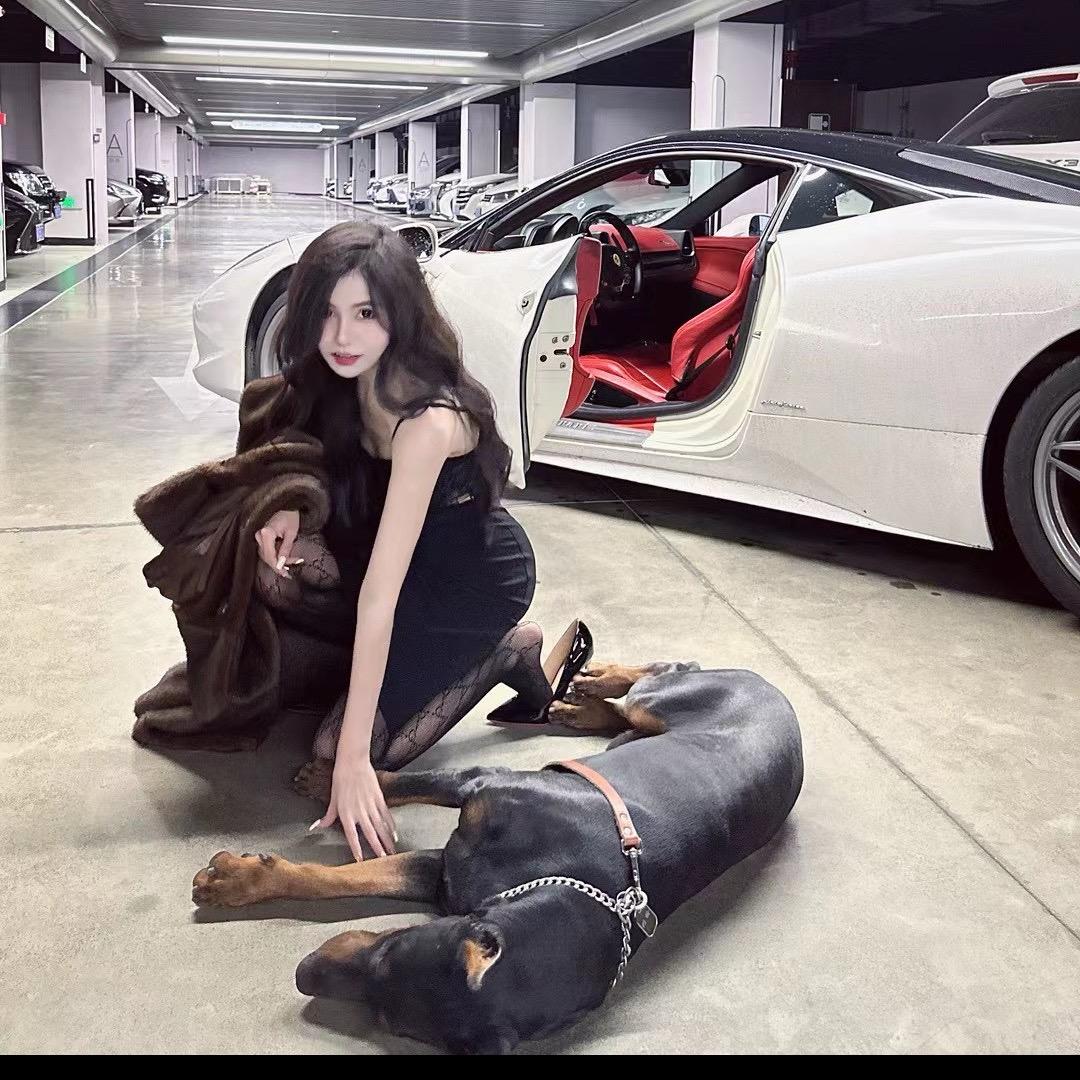 魏Jie