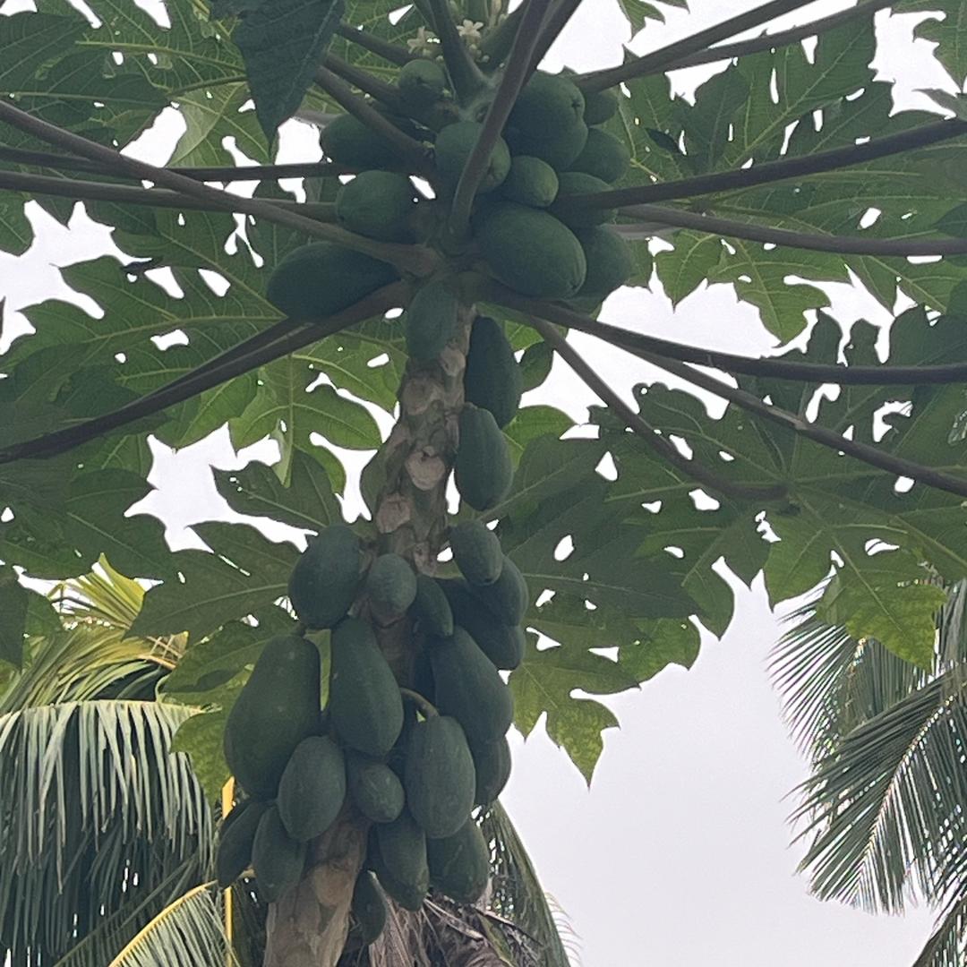 海阔天空任我飞