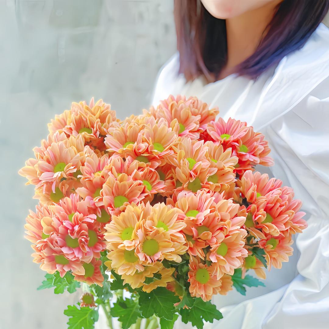 漫亦花卉