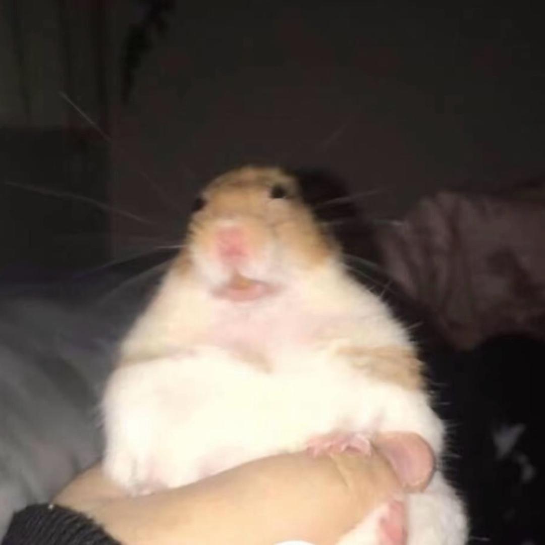 梅州鼠鼠酱