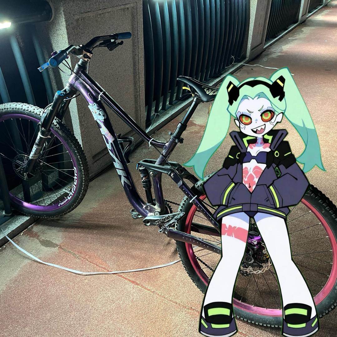 不会翘头的小虎