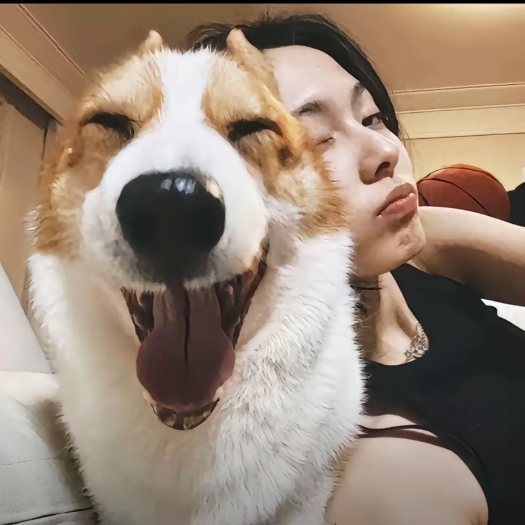 举重林黛玉