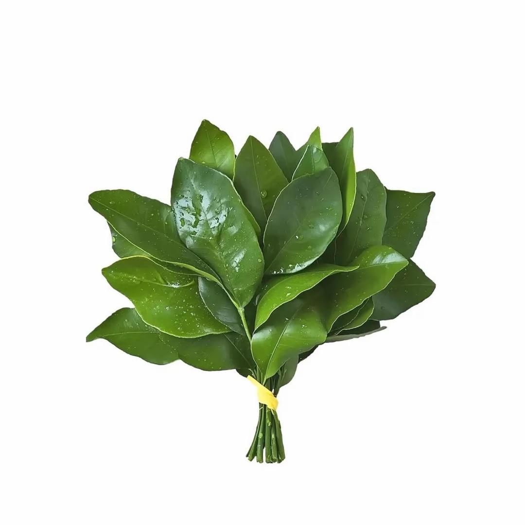 佳妻.🥀